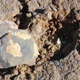 Soil development but no life