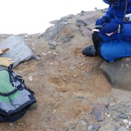 soil showed evidence of water retention