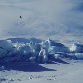 Pressure Ridges, Hutton Cliffs