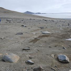 Jonathan Banks, algal strandlines, the shore of Buddha Lake and the southern lobe of the Joyce Glacier
