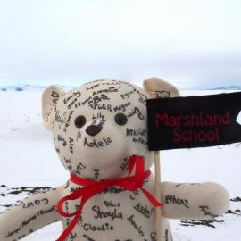 Teddy goes to Antarctica