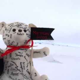 Teddy goes to Antarctica