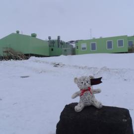 Teddy goes to Antarctica