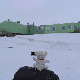 Teddy goes to Antarctica
