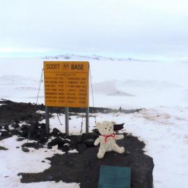 Teddy goes to Antarctica