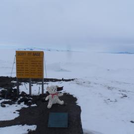 Teddy goes to Antarctica
