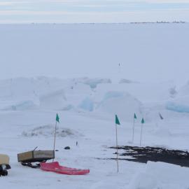 Teddy goes to Antarctica