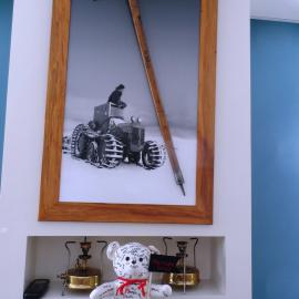 Teddy goes to Antarctica