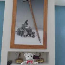 Teddy goes to Antarctica