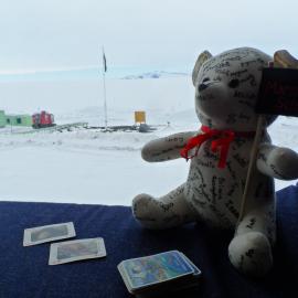 Teddy goes to Antarctica