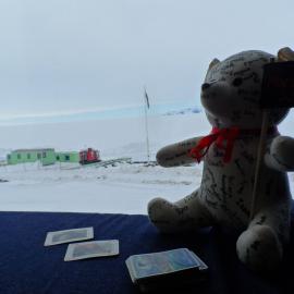 Teddy goes to Antarctica