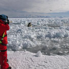 Regina Eisert - Gateway Antarctica