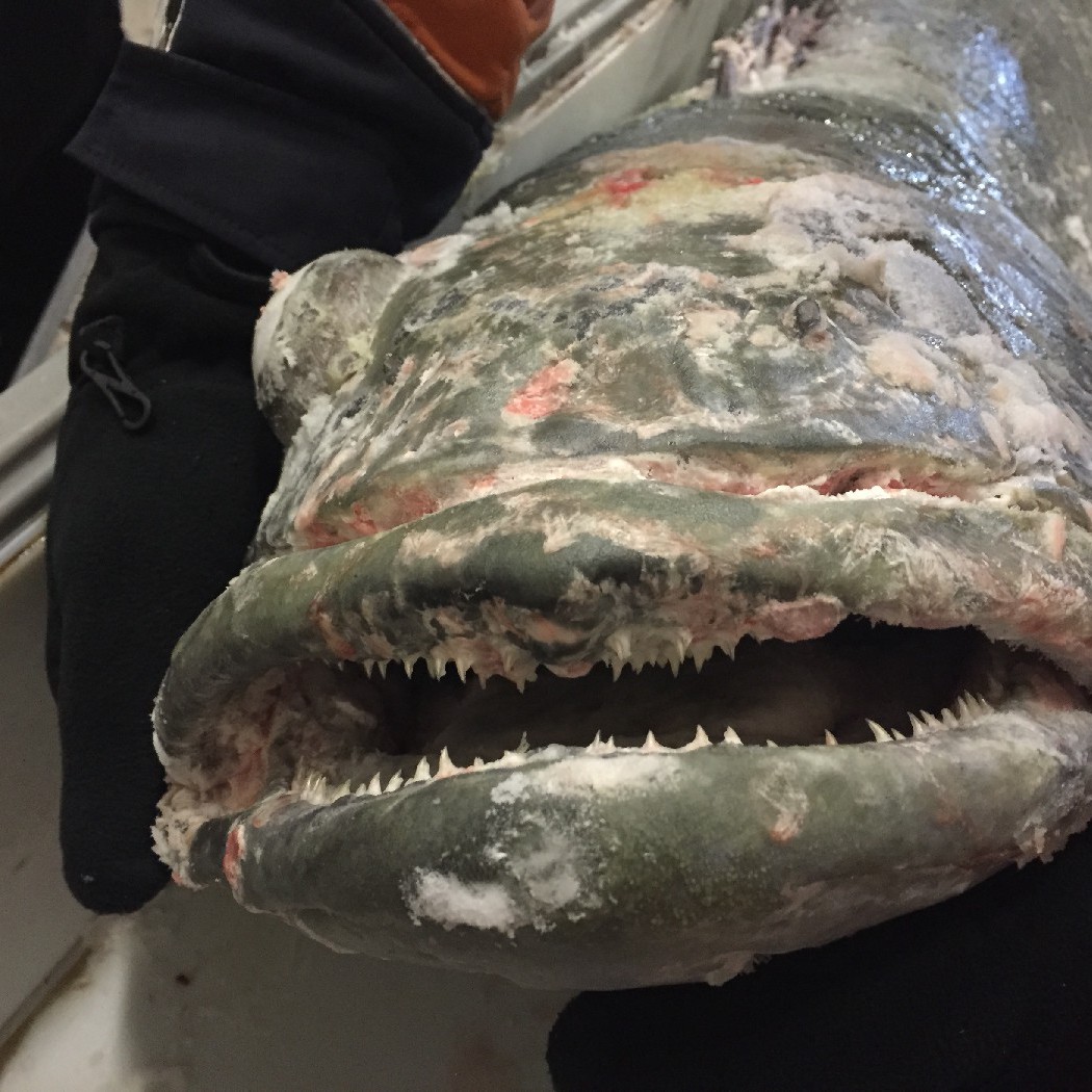 Air NZ Blog #5 - Darryn