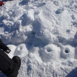 Field Support on the ice and setting up field camps