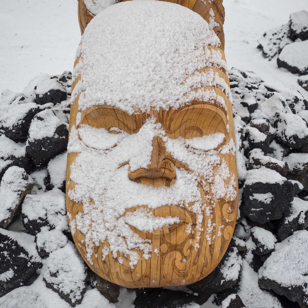 Air NZ Blog #7 - Ash