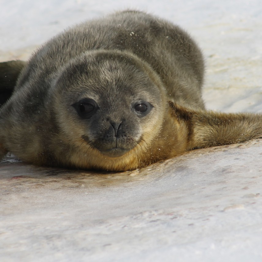 Air NZ Blog #7 - Darryn