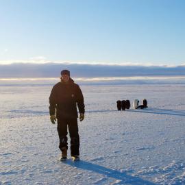 13 Shot with the penguins