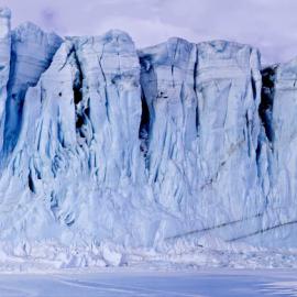 Album: Panorama of Barne Glacier and other close up shots