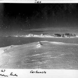 NZG&S Southern Party Carbuncle
