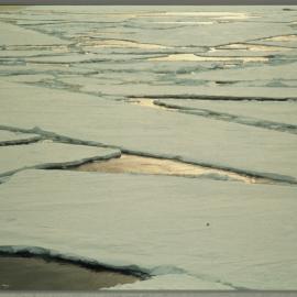 Sea Ice 