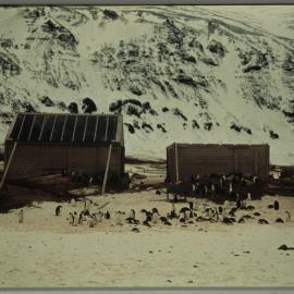 Borchgrevink Hut