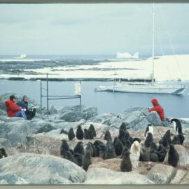 Cape Denison 