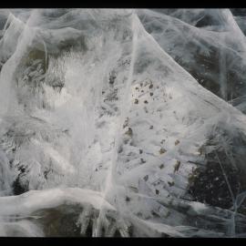 Ice Patterns, Lake Vanda, Wright Valley