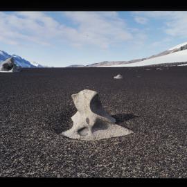 Kukri Hills above Taylor Valley. Ventifact rocks. Dry Valleys. 