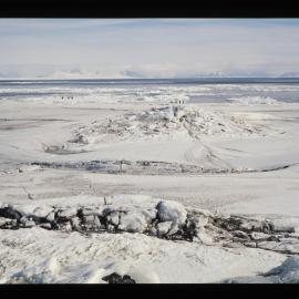 McMurdo Sound from Cape Royds. Emperor Penguins.