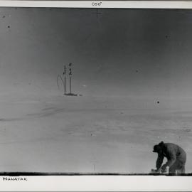 Madmans Nunatak, Trinity Nunatak