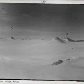 South End Killer Ridge