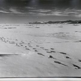 TAE 57-58 - Station D