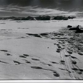 TAE 57-58 - Station D