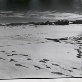 TAE 57-58 - Station D