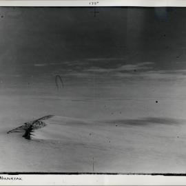 Plateau Nunatak, Carapace Nunatak