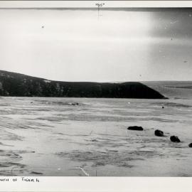 Camp two miles south of Tiger Island
