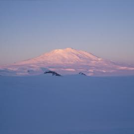 Mount Erebus