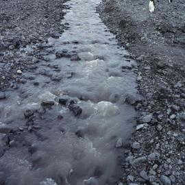 Adelie Penguins at Cape Bird