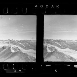 Survey Negatives - TAE - Book #1