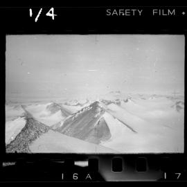 Survey Negatives - TAE - Book #1