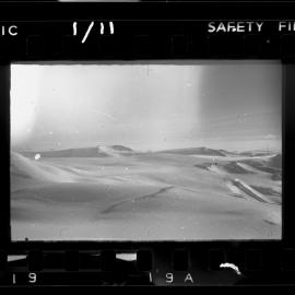 Survey Negatives - TAE - Book #1