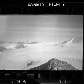 Survey Negatives - TAE - Book #1