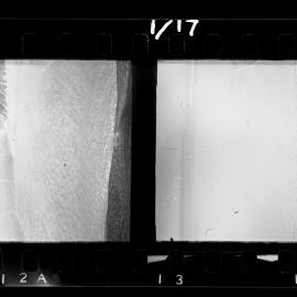 Survey Negatives - TAE - Book #1