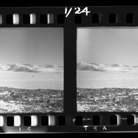 Survey Negatives - TAE - Book #1