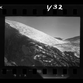 Survey Negatives - TAE - Book #1