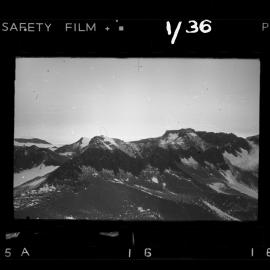 Survey Negatives - TAE - Book #1