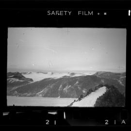 Survey Negatives - TAE - Book #1