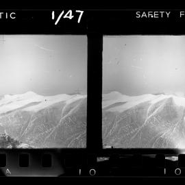 Survey Negatives - TAE - Book #1