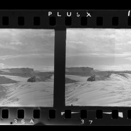 Survey Negatives - TAE - Book #1