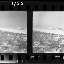 Survey Negatives - TAE - Book #1